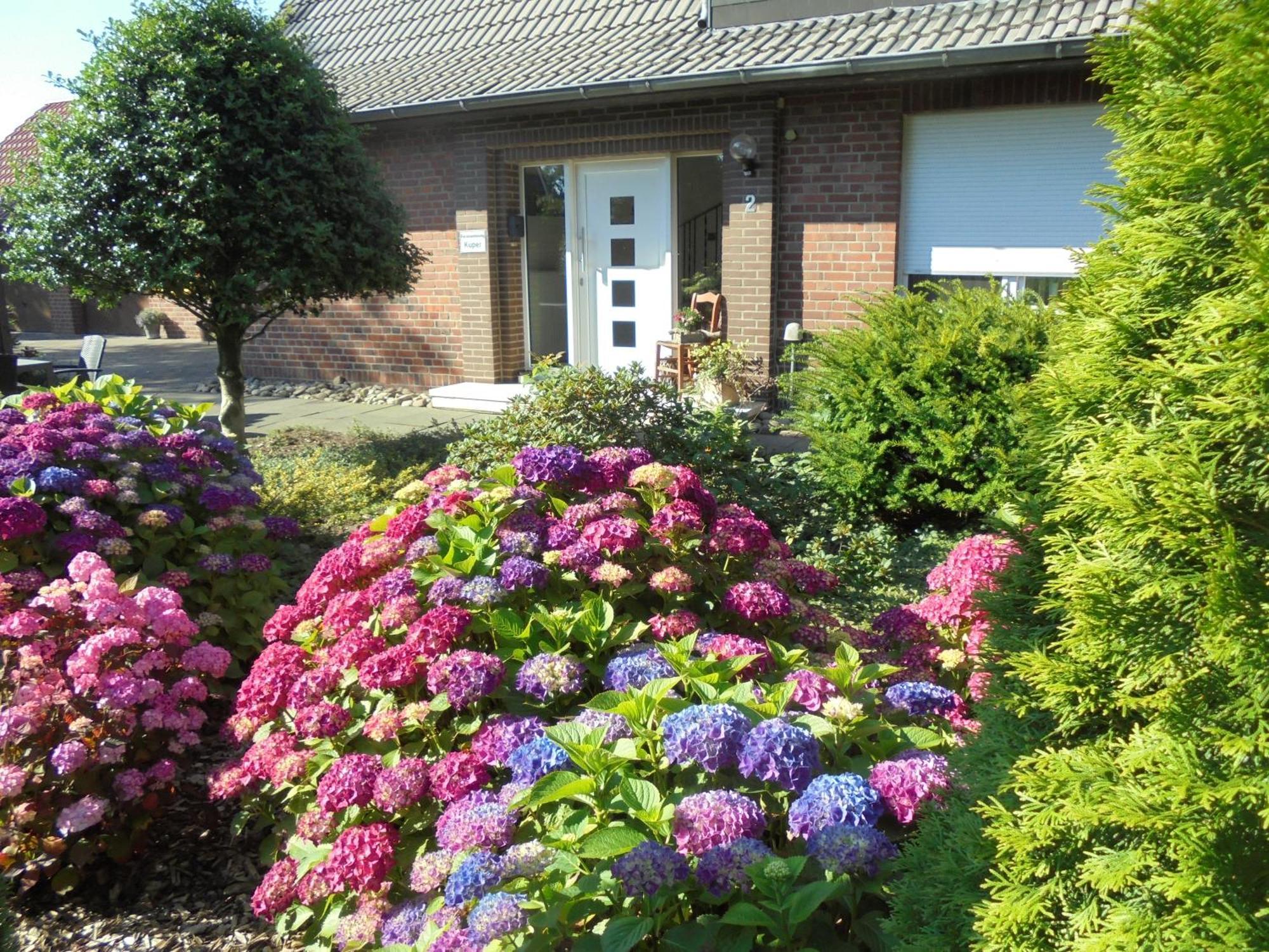 Ferienwohnung Kueper Getelo ภายนอก รูปภาพ